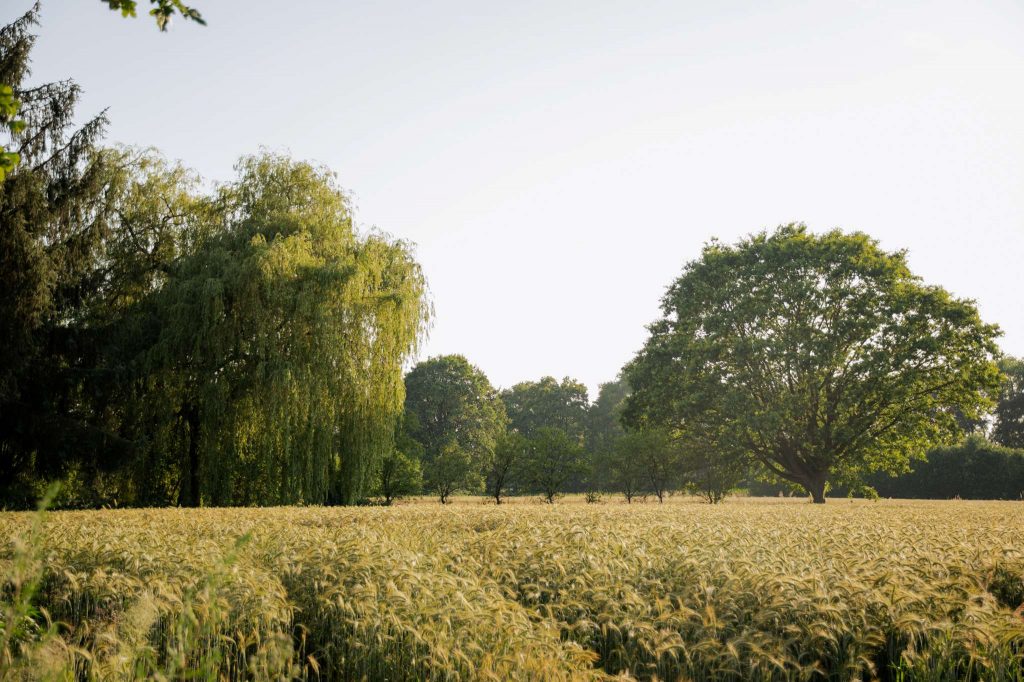 Sommer